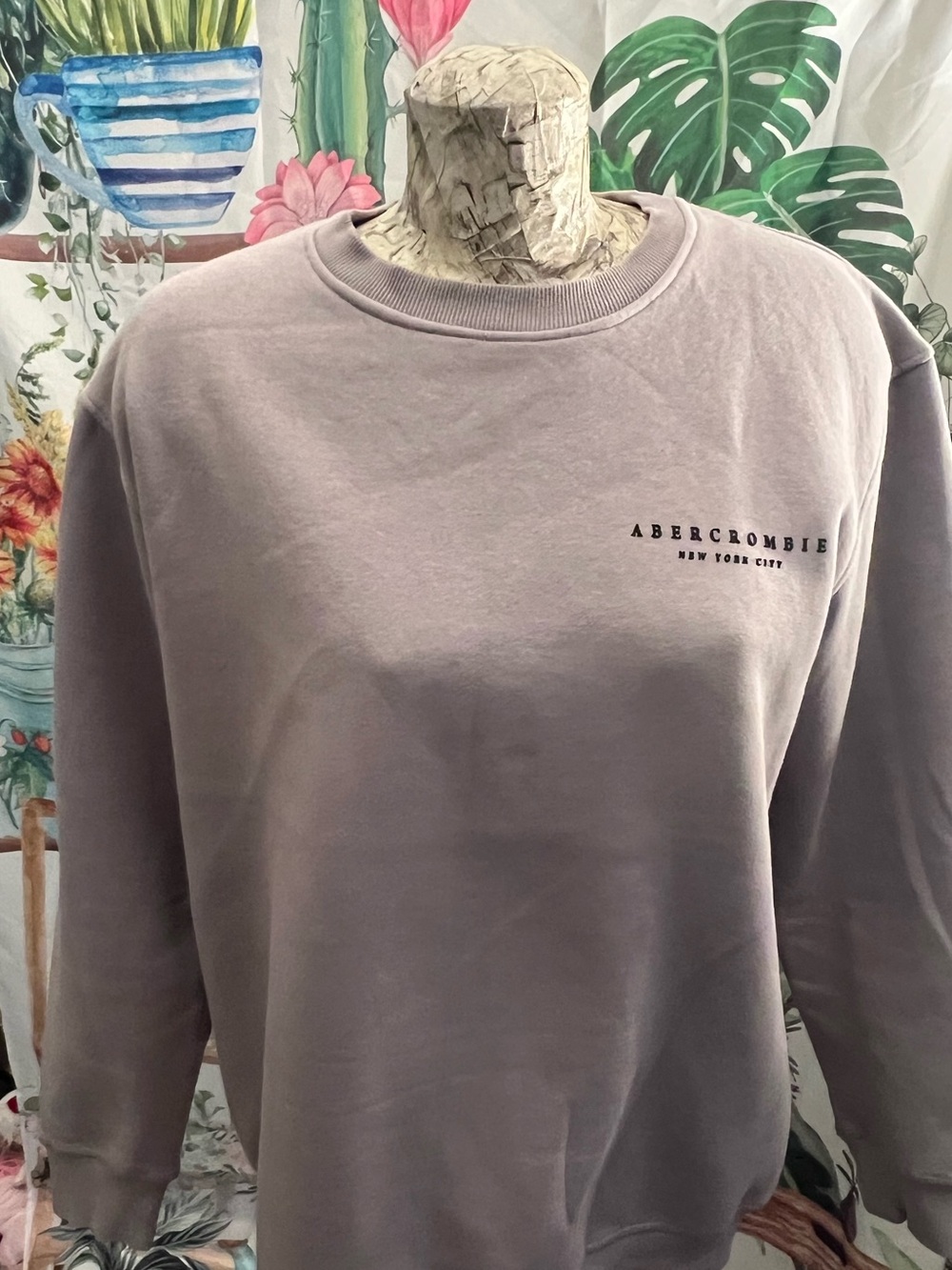 men’s Xxl Abercrombie & Fitch cozy pullover sweatshirt